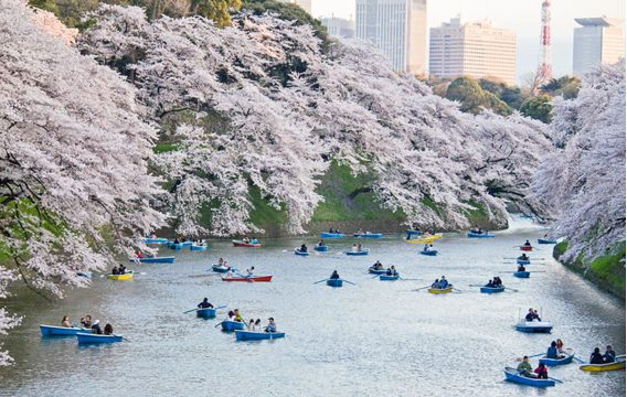 ¿Qué debe saber antes de viajar a Japón?